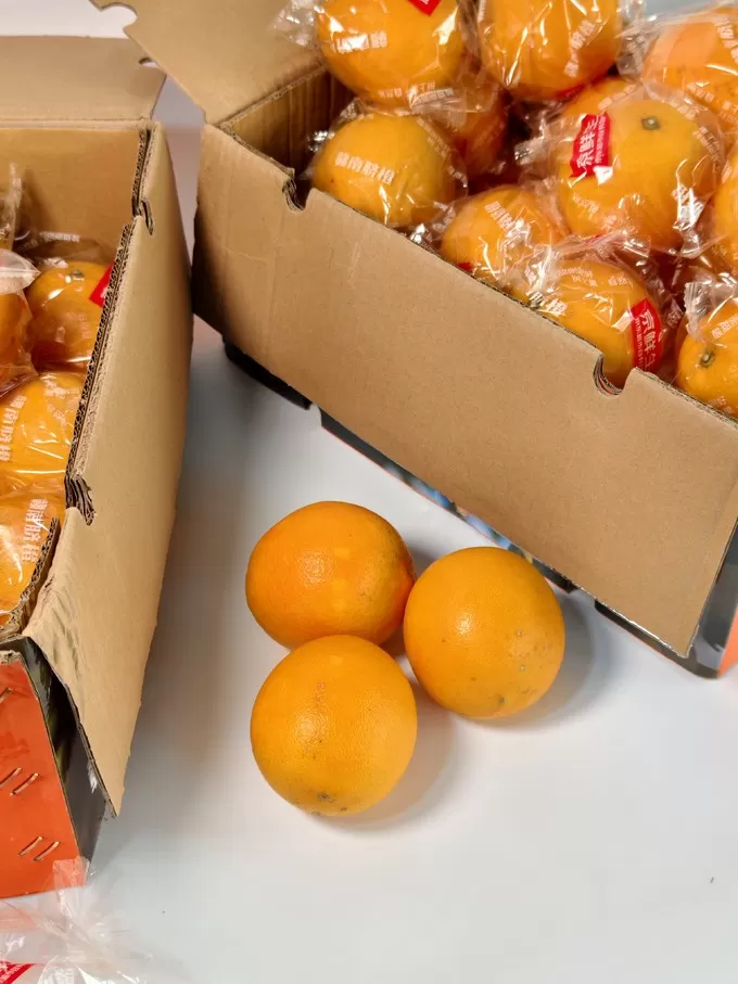 💗京觅橙子怎么样?