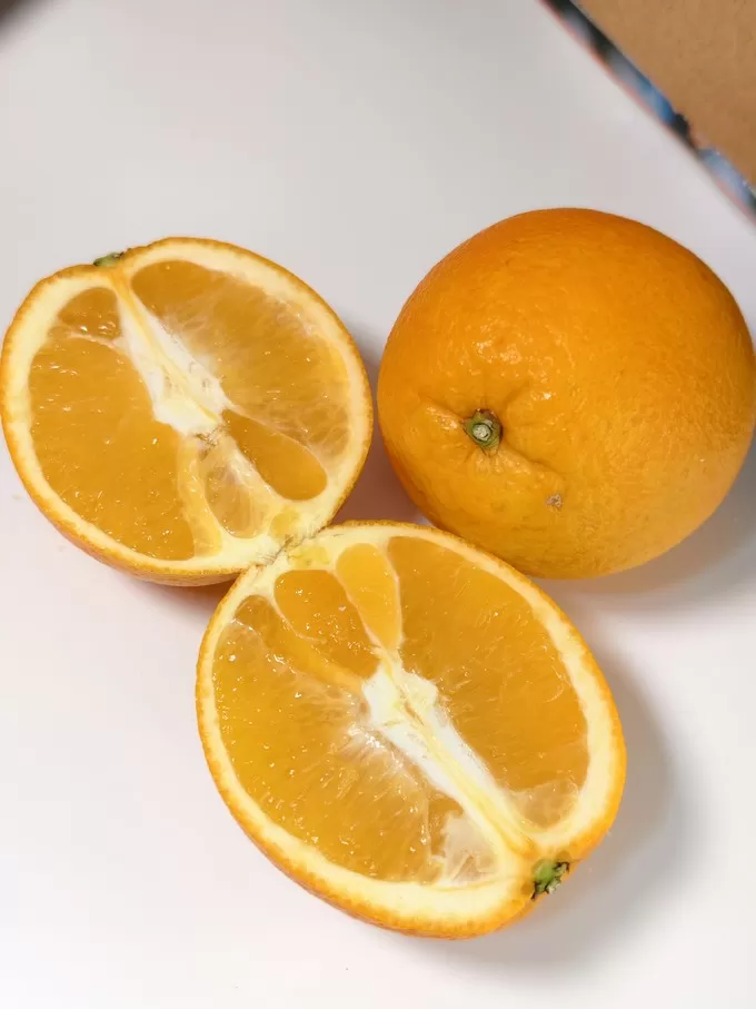 💗京觅橙子怎么样?