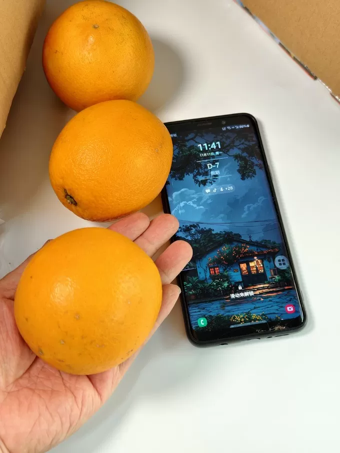 💗京觅橙子怎么样?