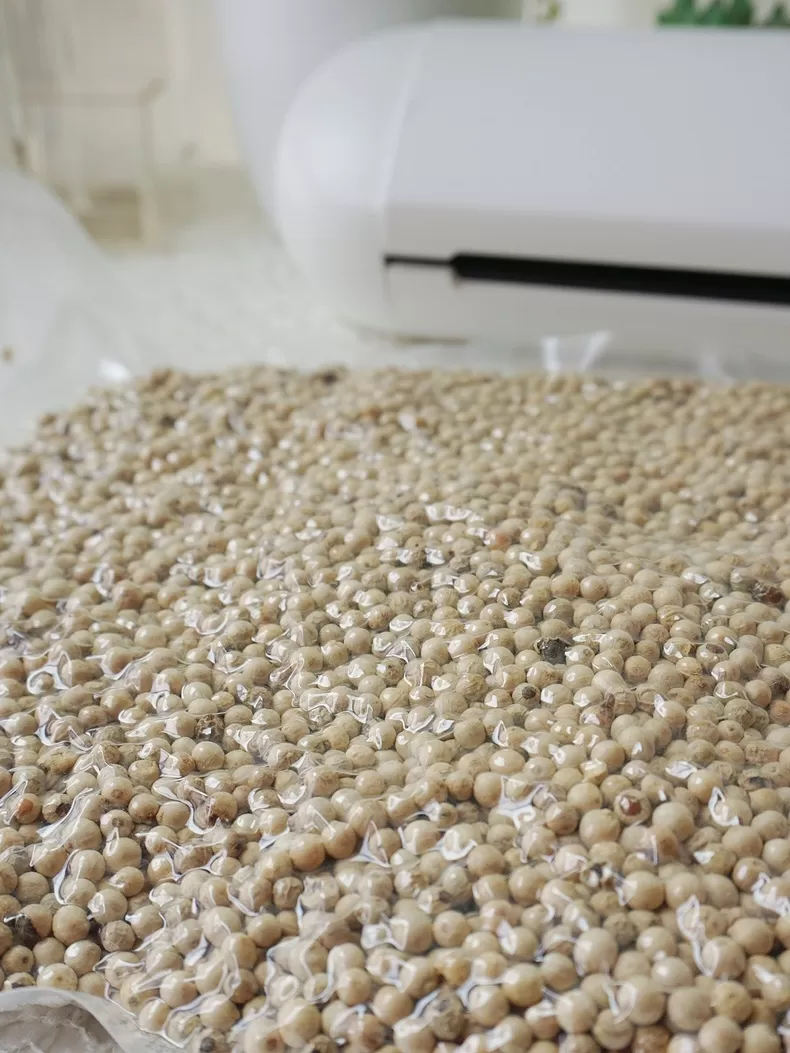 💝BLACK+DECKER真空封口机BDVSM-A9评测Black&decker真空封口机怎么样?