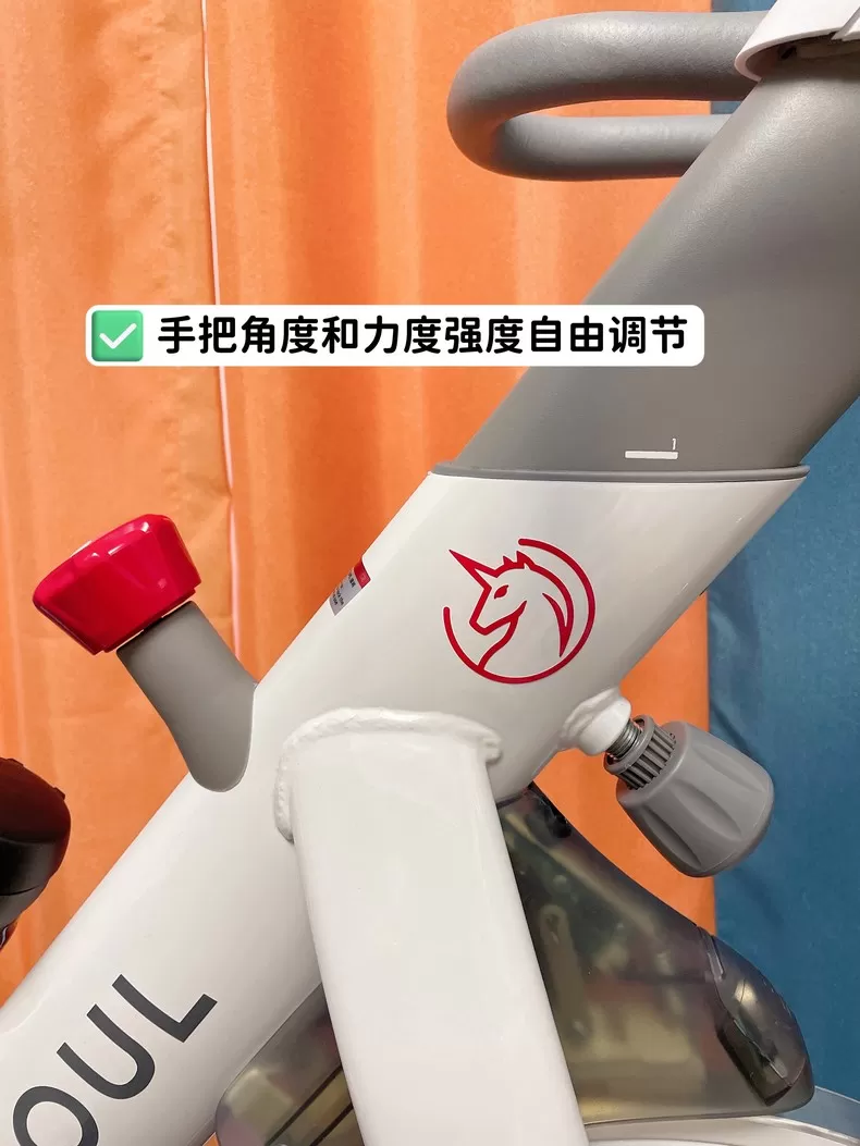 💞野小兽S1动感单车YS-S1评测野小兽动感单车怎么样?