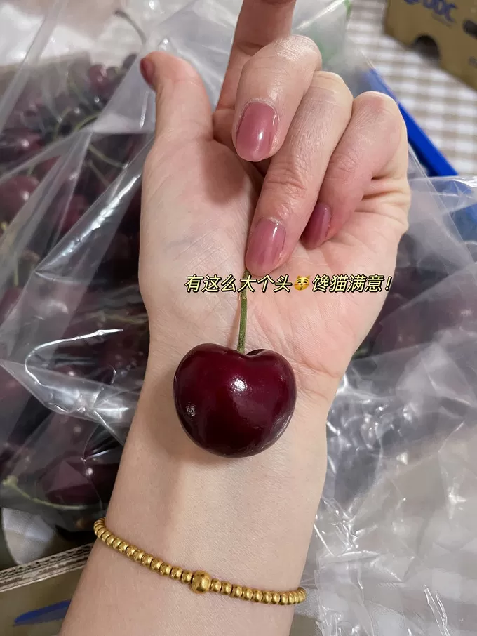 🤬车厘子大破价！不到140块五斤双J桑提娜安全下车！