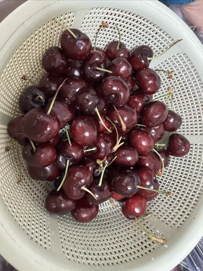 ⚡12.8的第四次京东会员十斤车厘子到货