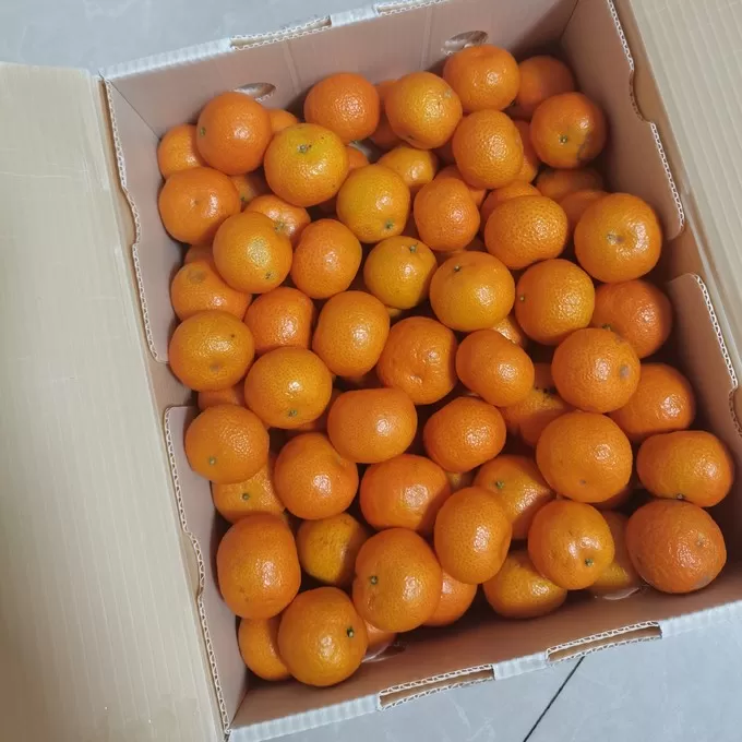 💗京鲜生下单的沙糖桔到货了可回购!