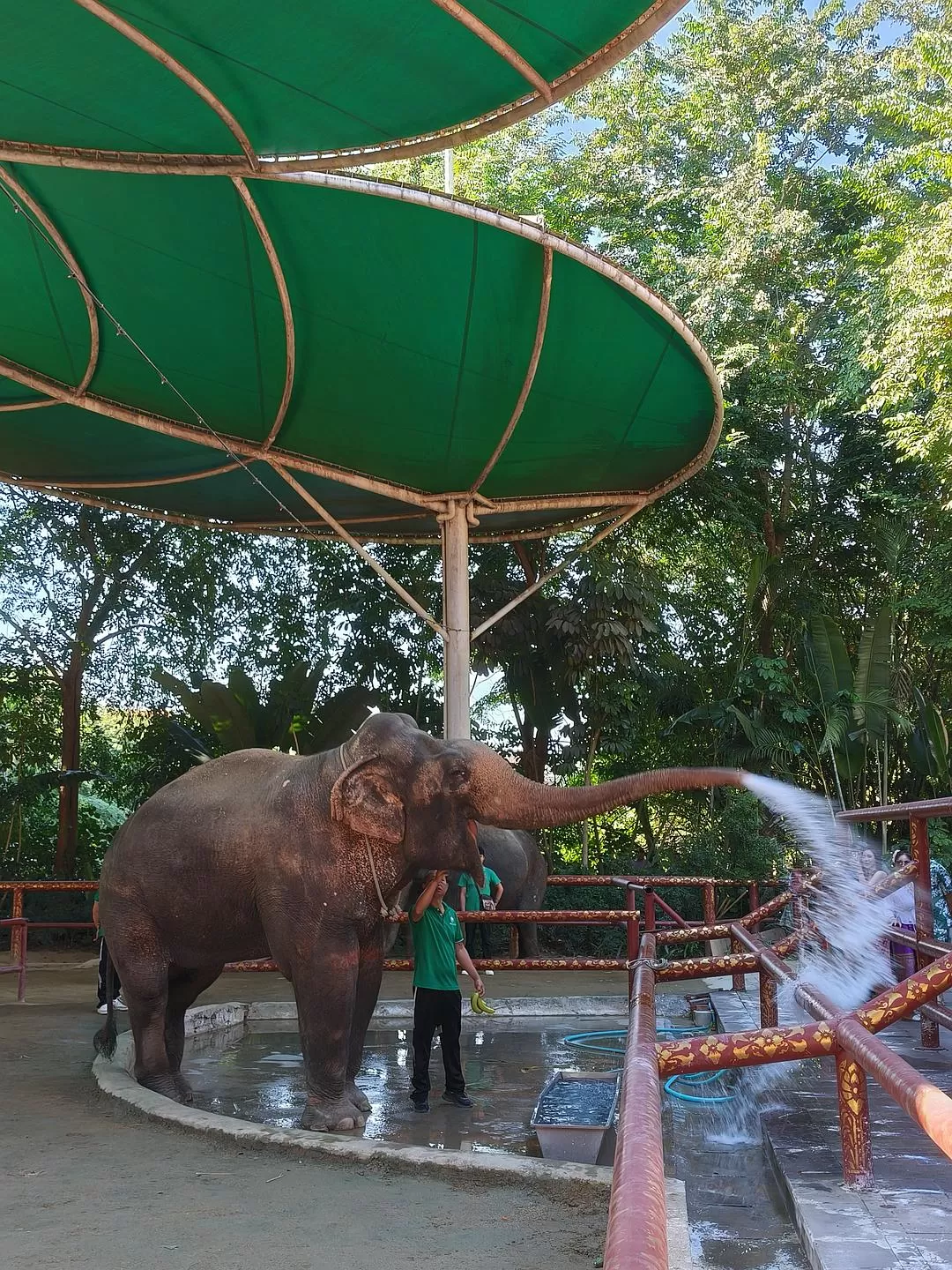旅游推荐两人游：滇西⚡南七日游--腾冲芒市西双版纳之旅