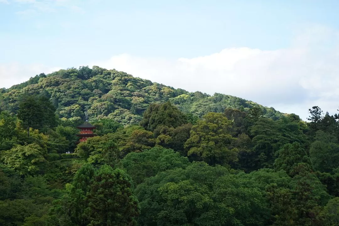 旅游推🈲荐一人游：2024旅游总结