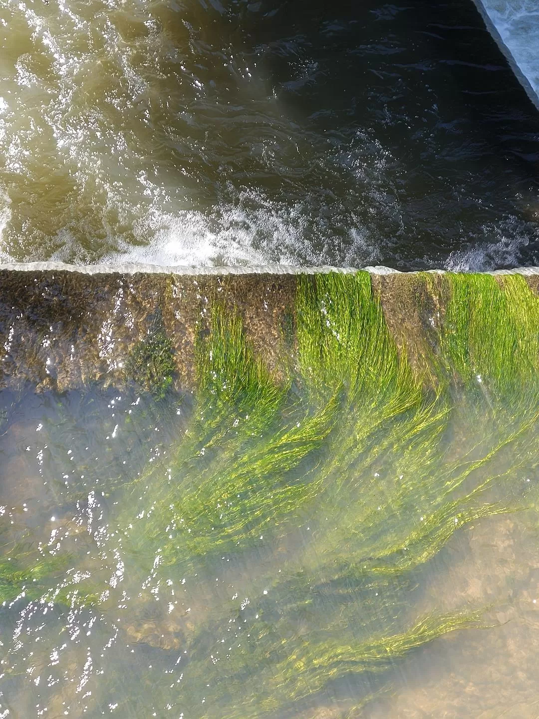旅游推荐两人游:滇西⚡南七日游--腾冲芒市西双版纳之旅