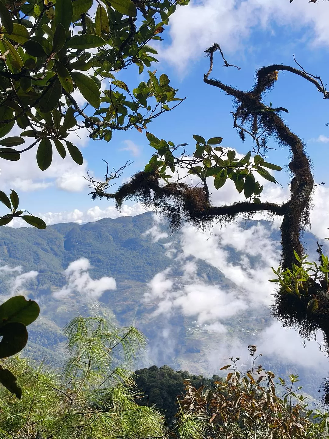 旅游推荐两人游:滇西⚡南七日游--腾冲芒市西双版纳之旅