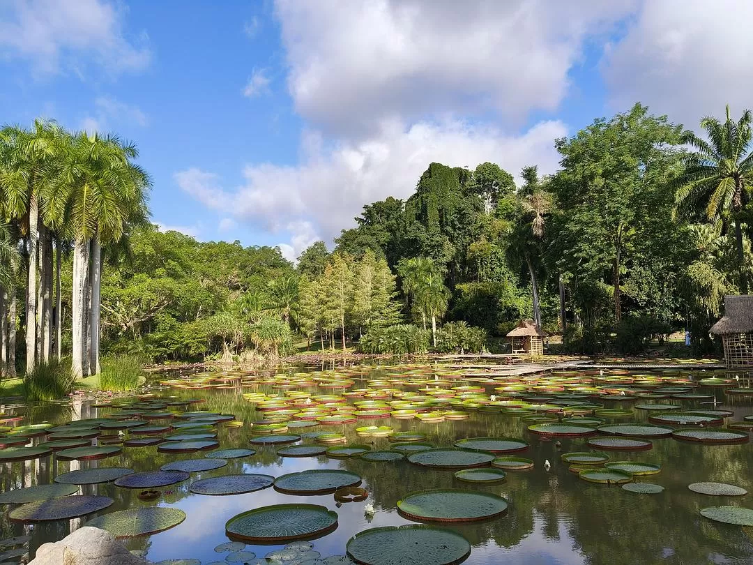 旅游推荐两人游:滇西⚡南七日游--腾冲芒市西双版纳之旅