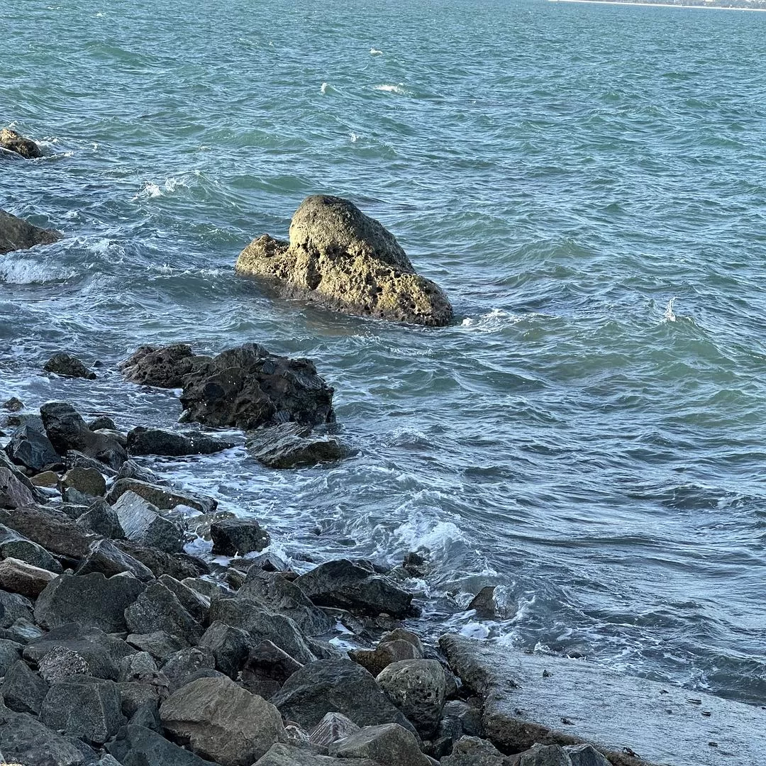 旅游推🈲荐一人游：2024旅游总结