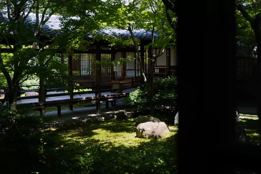 旅游推🈲荐一人游：2024旅游总结