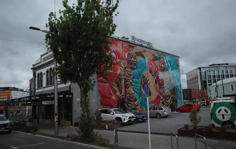 旅游推荐国🔥外游：18天自驾新西兰学会了enjoy所有坏天气(施工中)