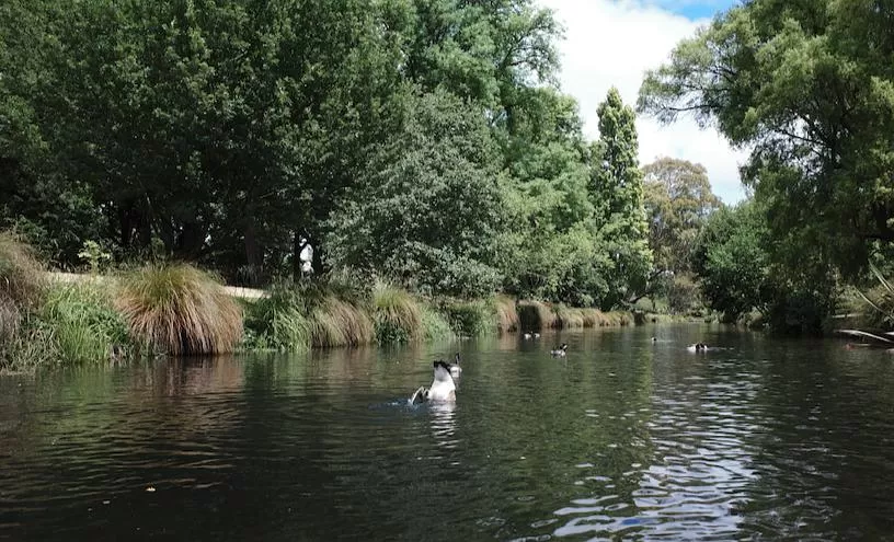 旅游推荐国🔥外游：18天自驾新西兰学会了enjoy所有坏天气(施工中)