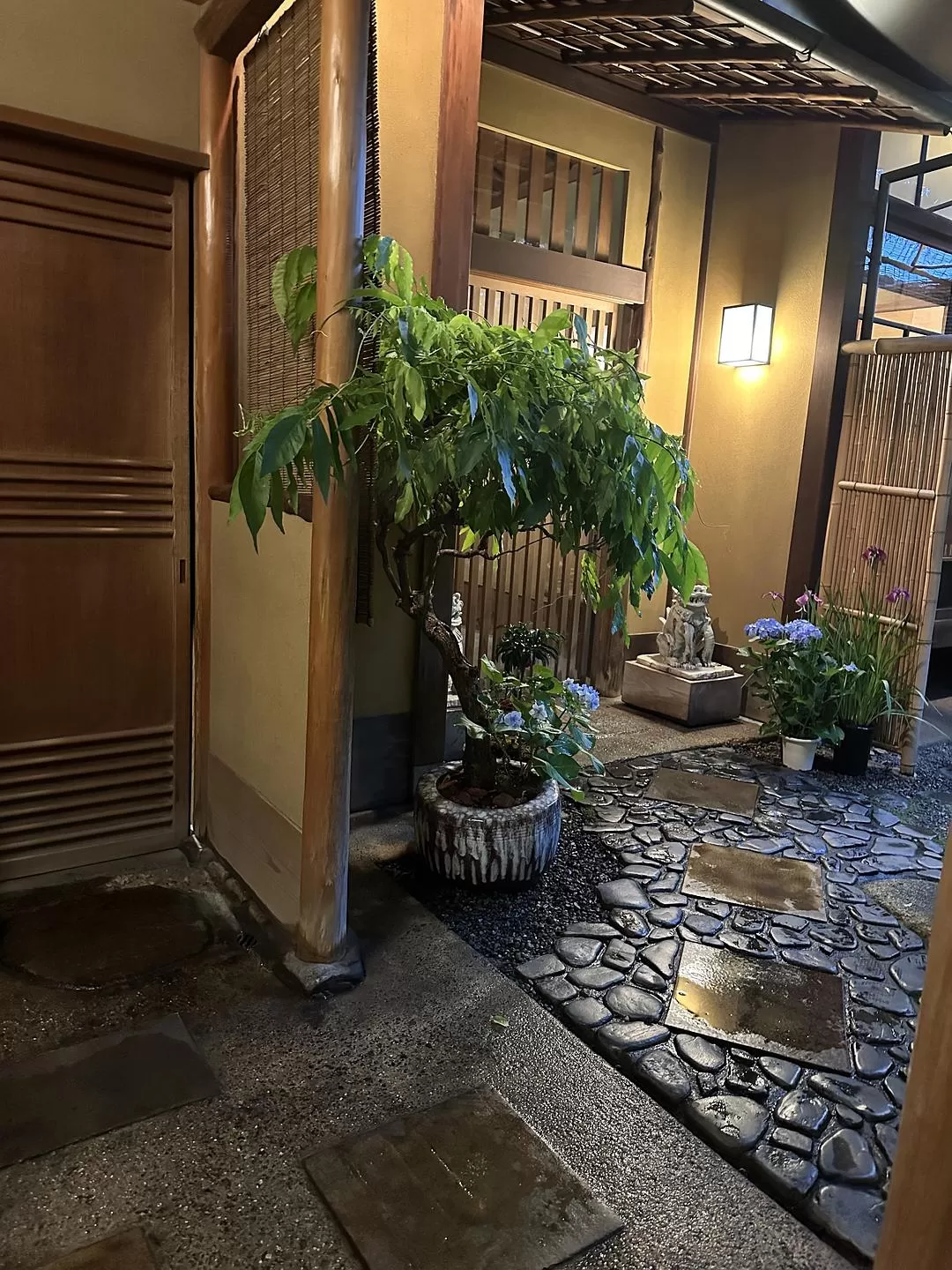 旅游推🈲荐一人游：2024旅游总结