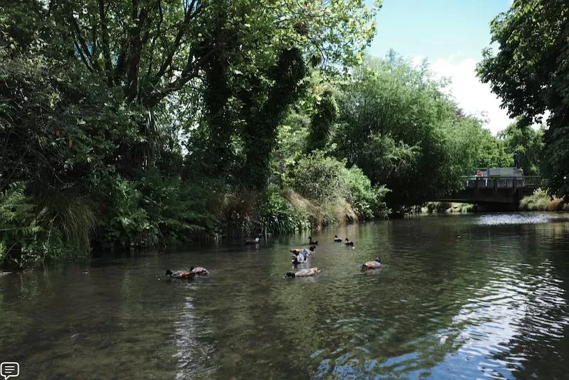 旅游推荐国🔥外游：18天自驾新西兰学会了enjoy所有坏天气(施工中)