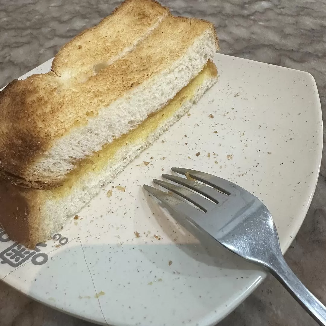 旅游推🈲荐一人游：2024旅游总结