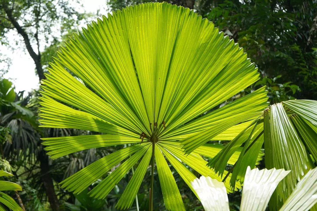 旅游推🈲荐一人游：2024旅游总结