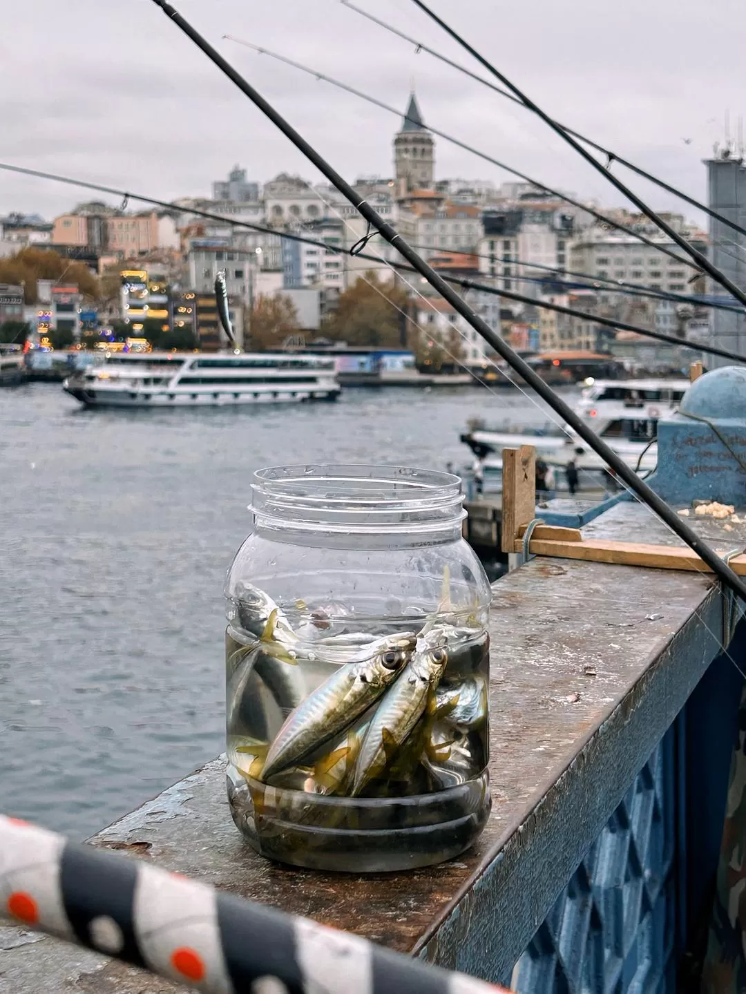 💗旅游推荐今年6次独自旅行，gap100天，我的2024旅行总结