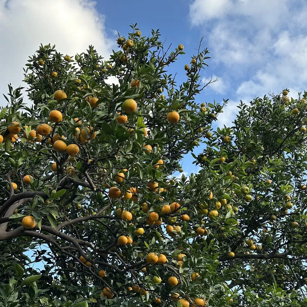 旅游推🈲荐一人游：2024旅游总结