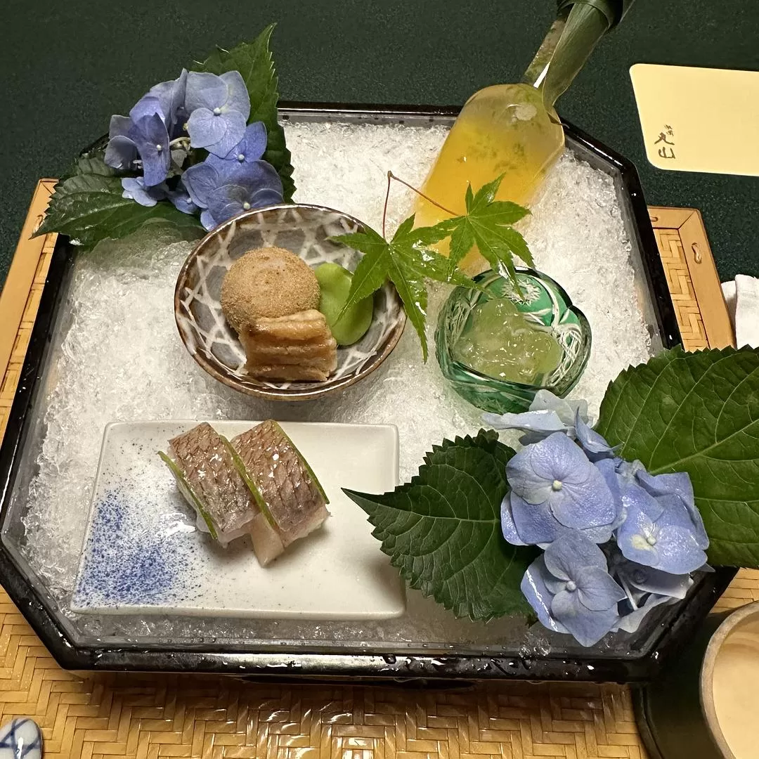 旅游推🈲荐一人游：2024旅游总结