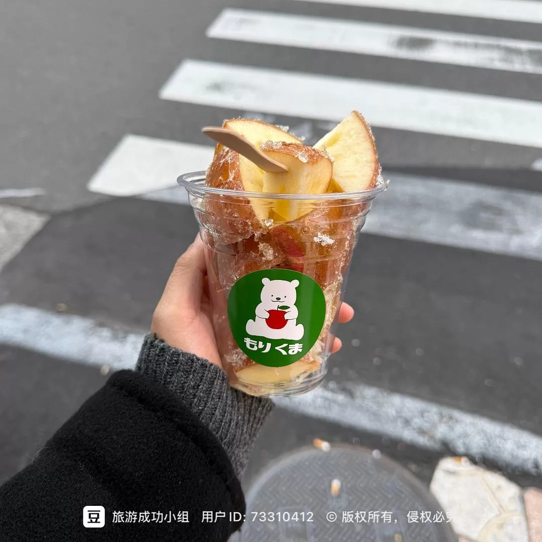 旅游推荐💞国外游：一个J人的日本10日自由行（下）关西篇