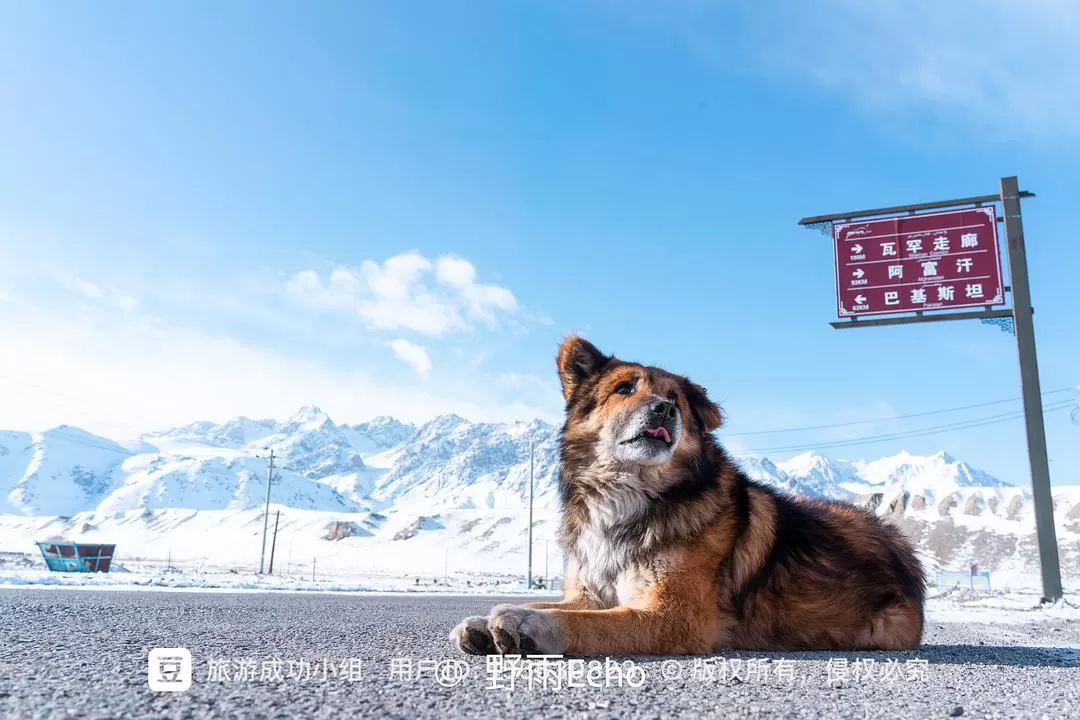 旅游推荐一人游：淡季的新疆旅游也太💓香了，6天5夜只花了1k3出头