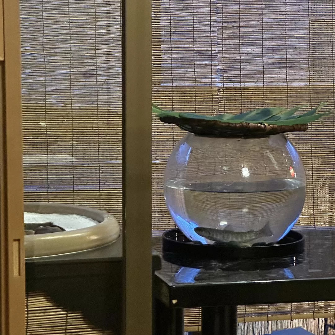 旅游推🈲荐一人游：2024旅游总结