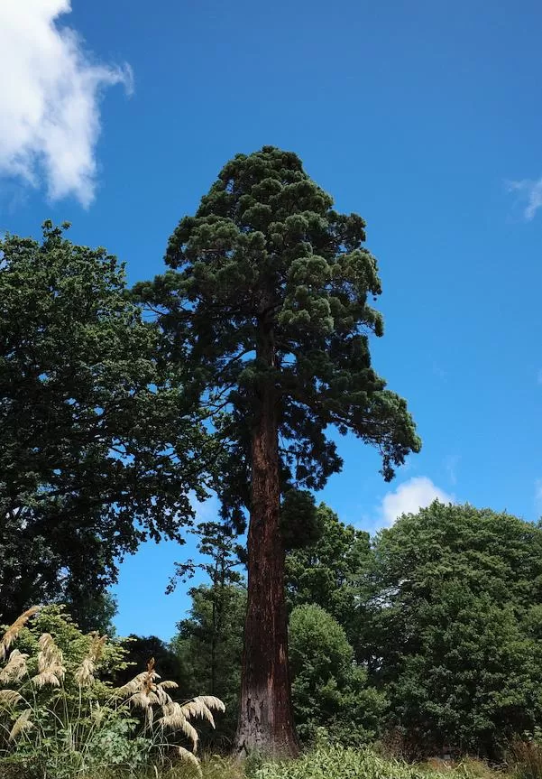 旅游推荐国🔥外游：18天自驾新西兰学会了enjoy所有坏天气(施工中)