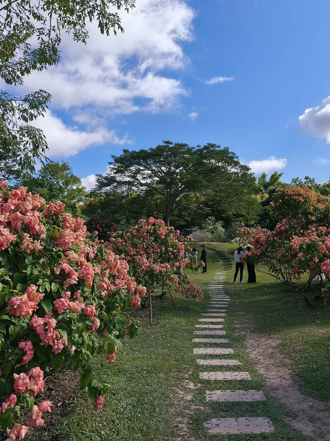 旅游推荐两人游:滇西⚡南七日游--腾冲芒市西双版纳之旅