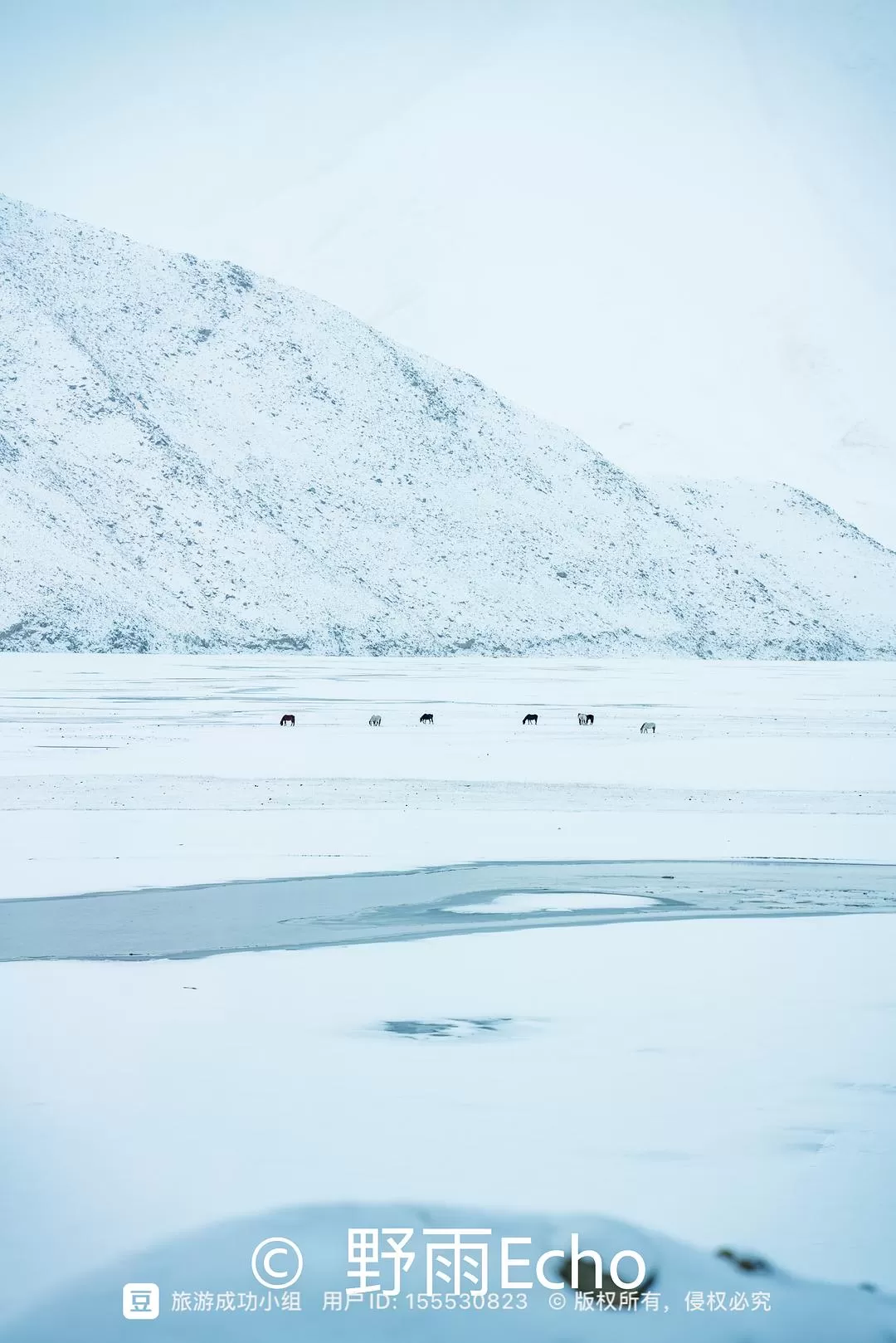 旅游推荐一人游：淡季的新疆旅游也太💓香了，6天5夜只花了1k3出头