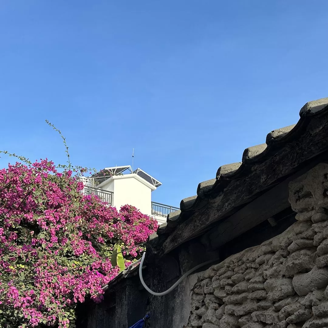 旅游推🈲荐一人游：2024旅游总结