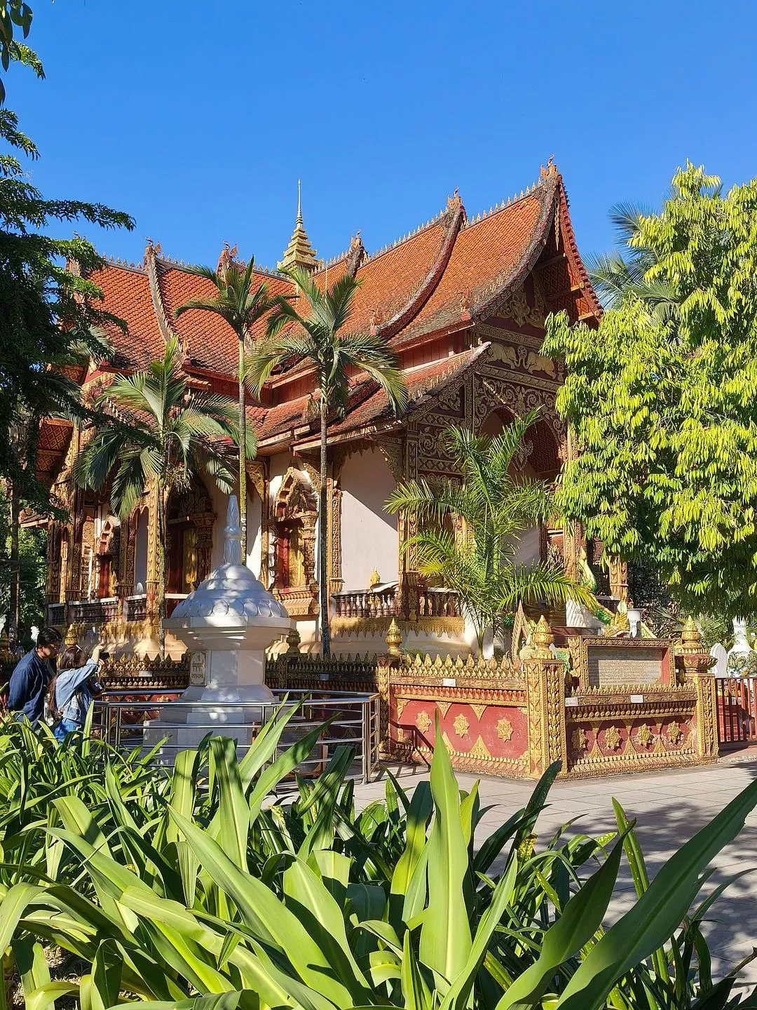 旅游推荐两人游：滇西⚡南七日游--腾冲芒市西双版纳之旅