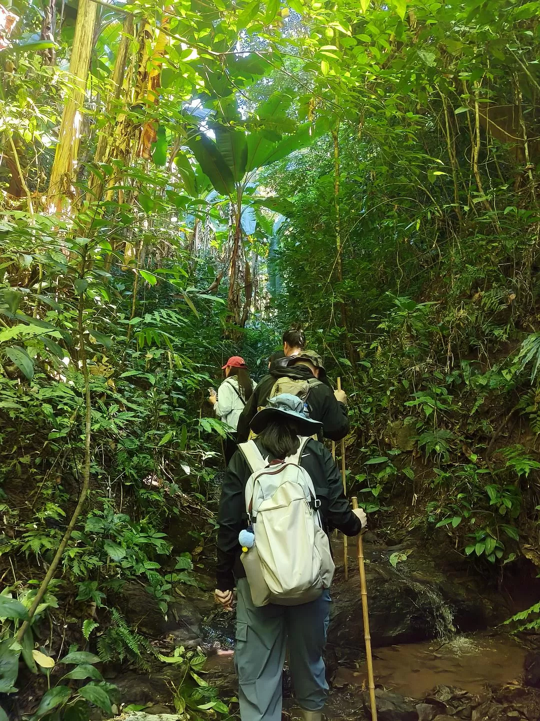 旅游推荐两人游:滇西⚡南七日游--腾冲芒市西双版纳之旅