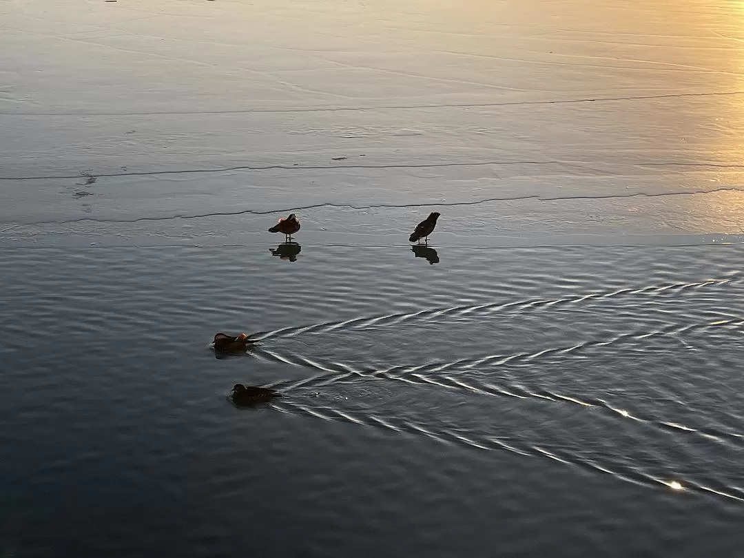 旅游推荐一人游：北京一人游花费240💝0五天四夜攻略