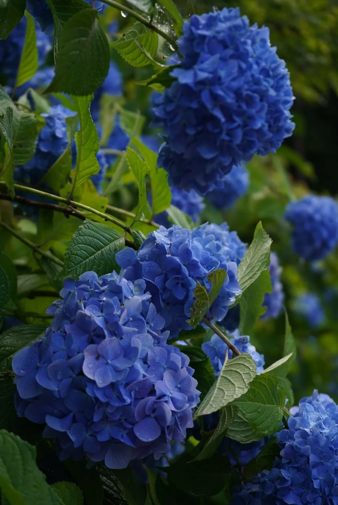 旅游推🈲荐一人游：2024旅游总结