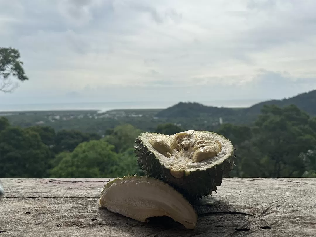 旅游推🈲荐一人游：2024旅游总结