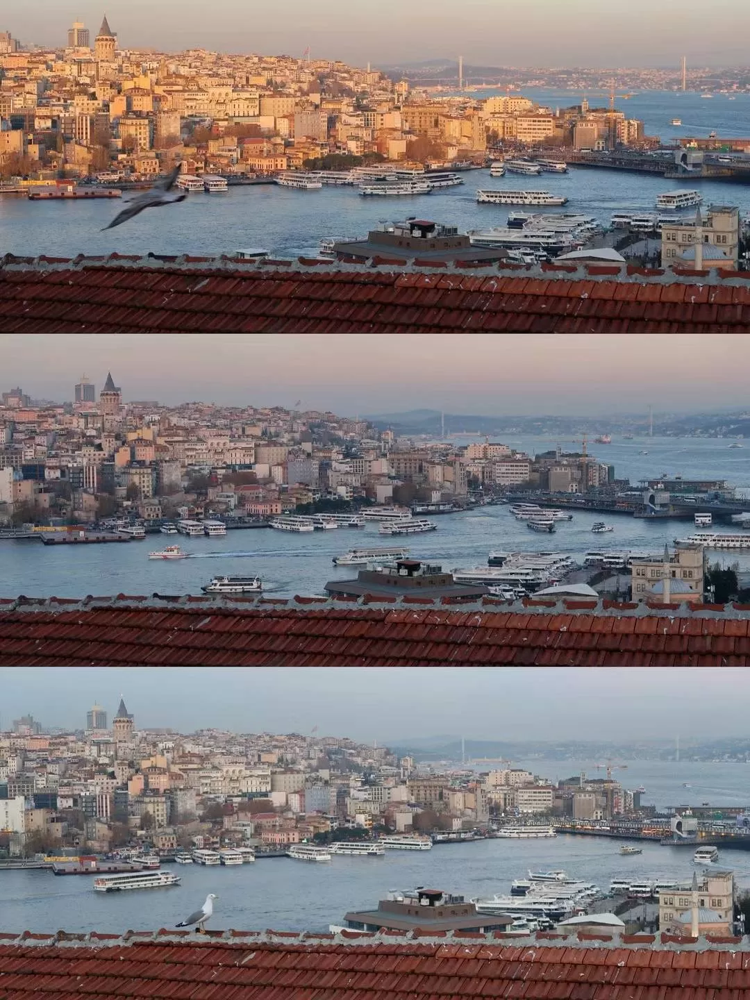 💗旅游推荐今年6次独自旅行，gap100天，我的2024旅行总结