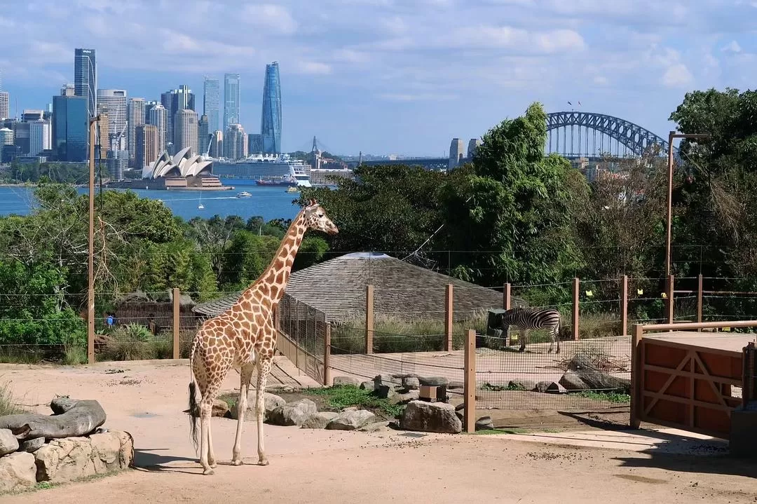 💗旅游推荐今年6次独自旅行，gap100天，我的2024旅行总结