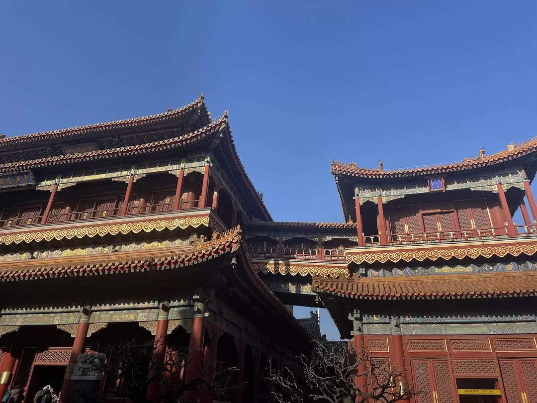 旅游推荐一人游：北京一人游花费240💝0五天四夜攻略