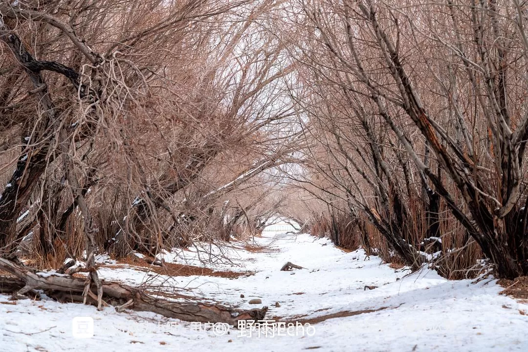 旅游推荐一人游：淡季的新疆旅游也太💓香了，6天5夜只花了1k3出头