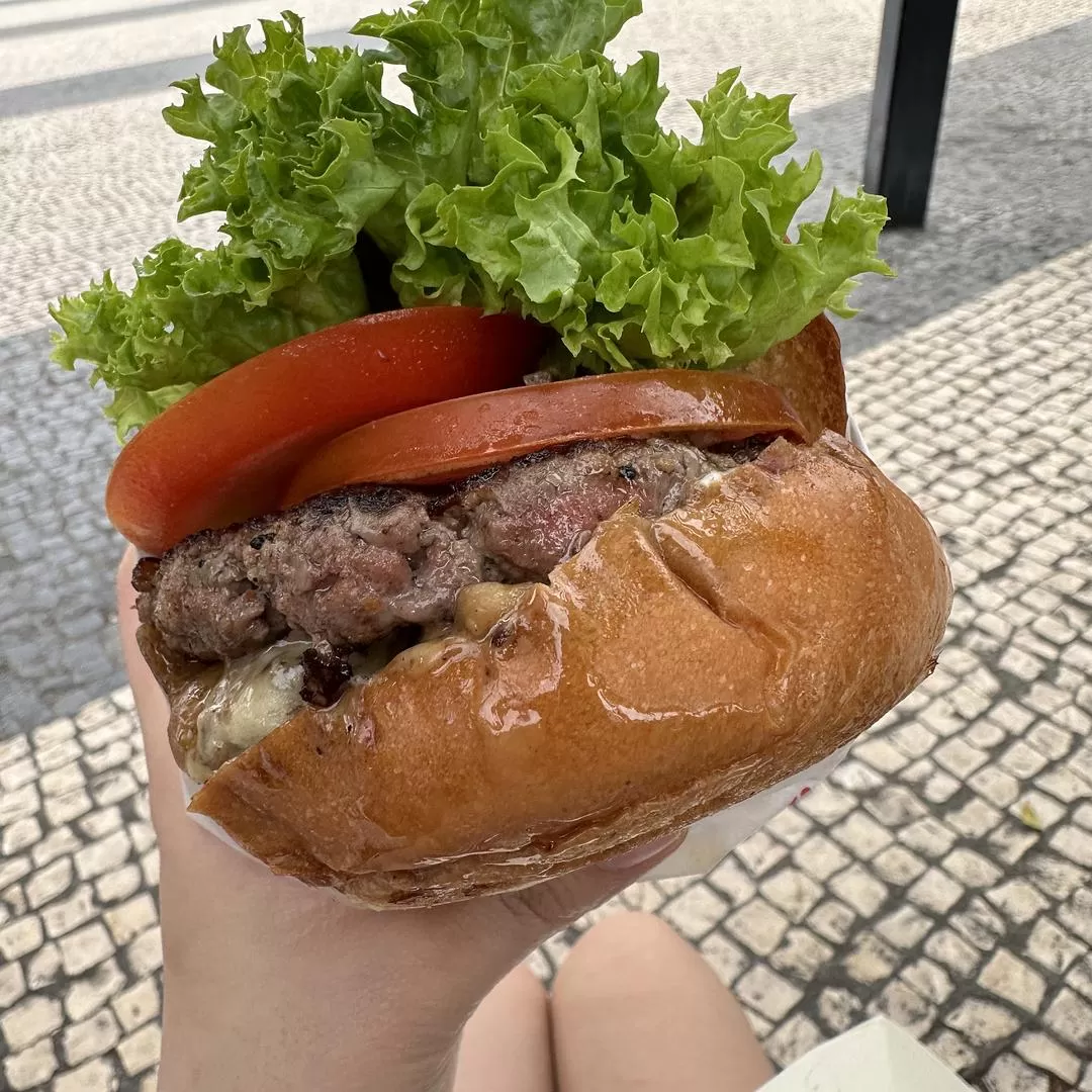 旅游推🈲荐一人游：2024旅游总结