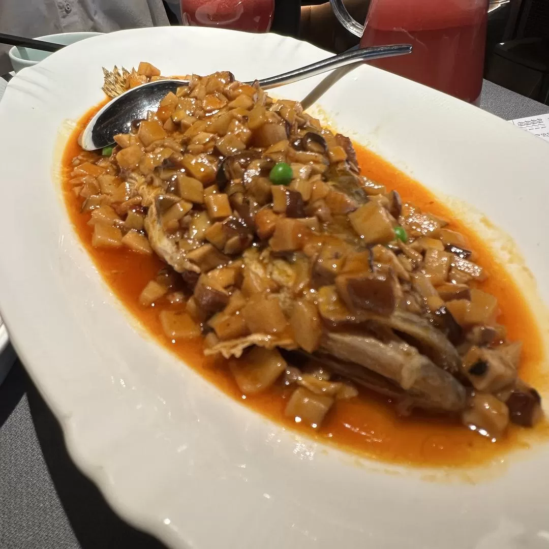 旅游推🈲荐一人游：2024旅游总结