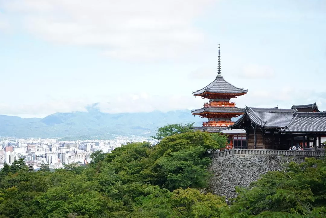 旅游推🈲荐一人游：2024旅游总结