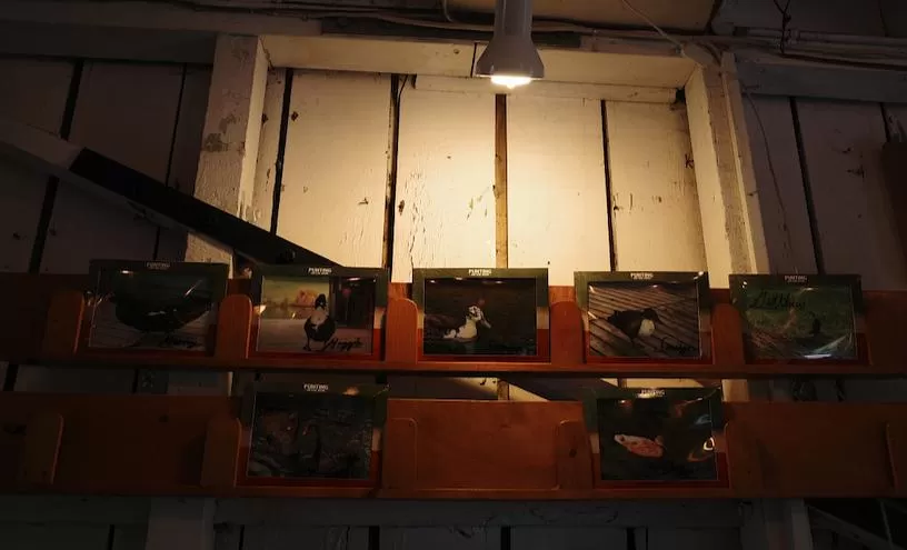 旅游推荐国🔥外游：18天自驾新西兰学会了enjoy所有坏天气(施工中)