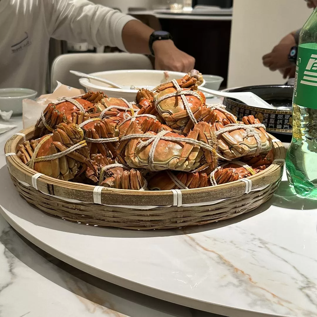 旅游推🈲荐一人游：2024旅游总结