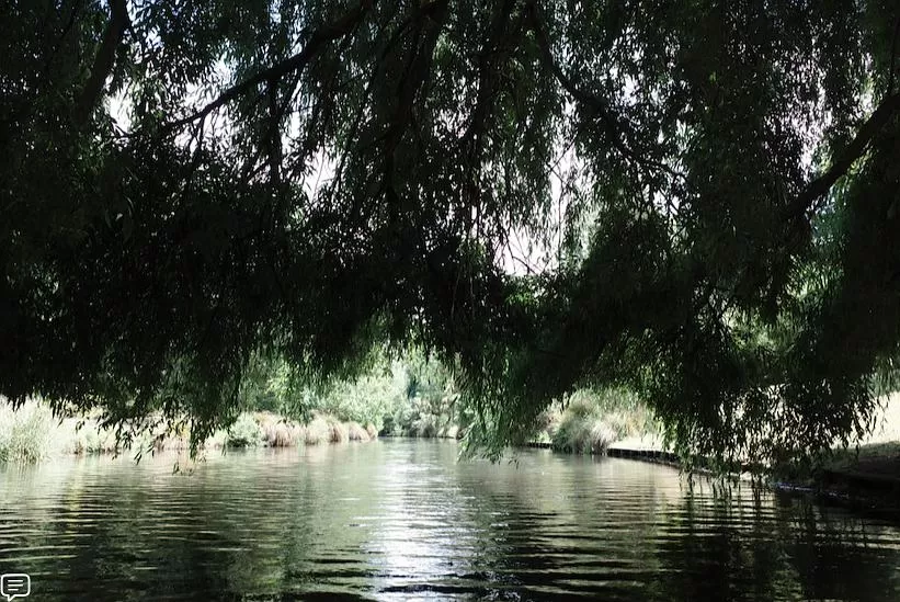 旅游推荐国🔥外游：18天自驾新西兰学会了enjoy所有坏天气(施工中)