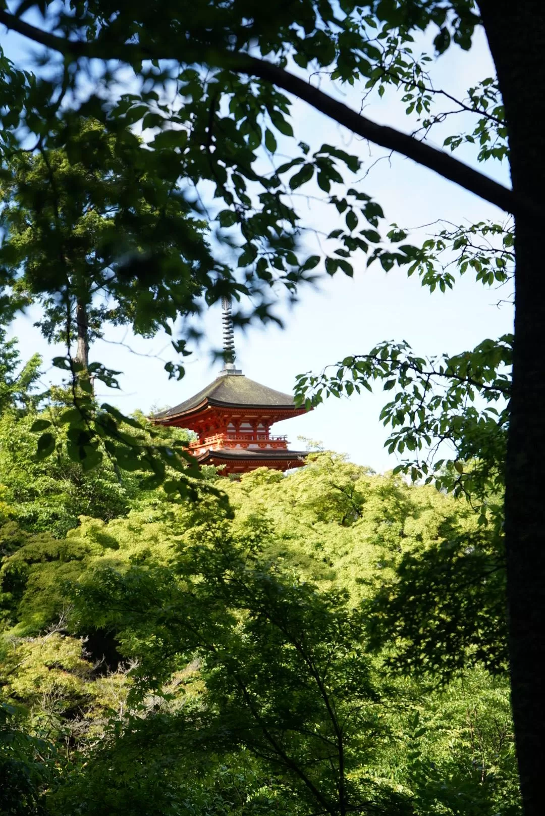 旅游推🈲荐一人游：2024旅游总结