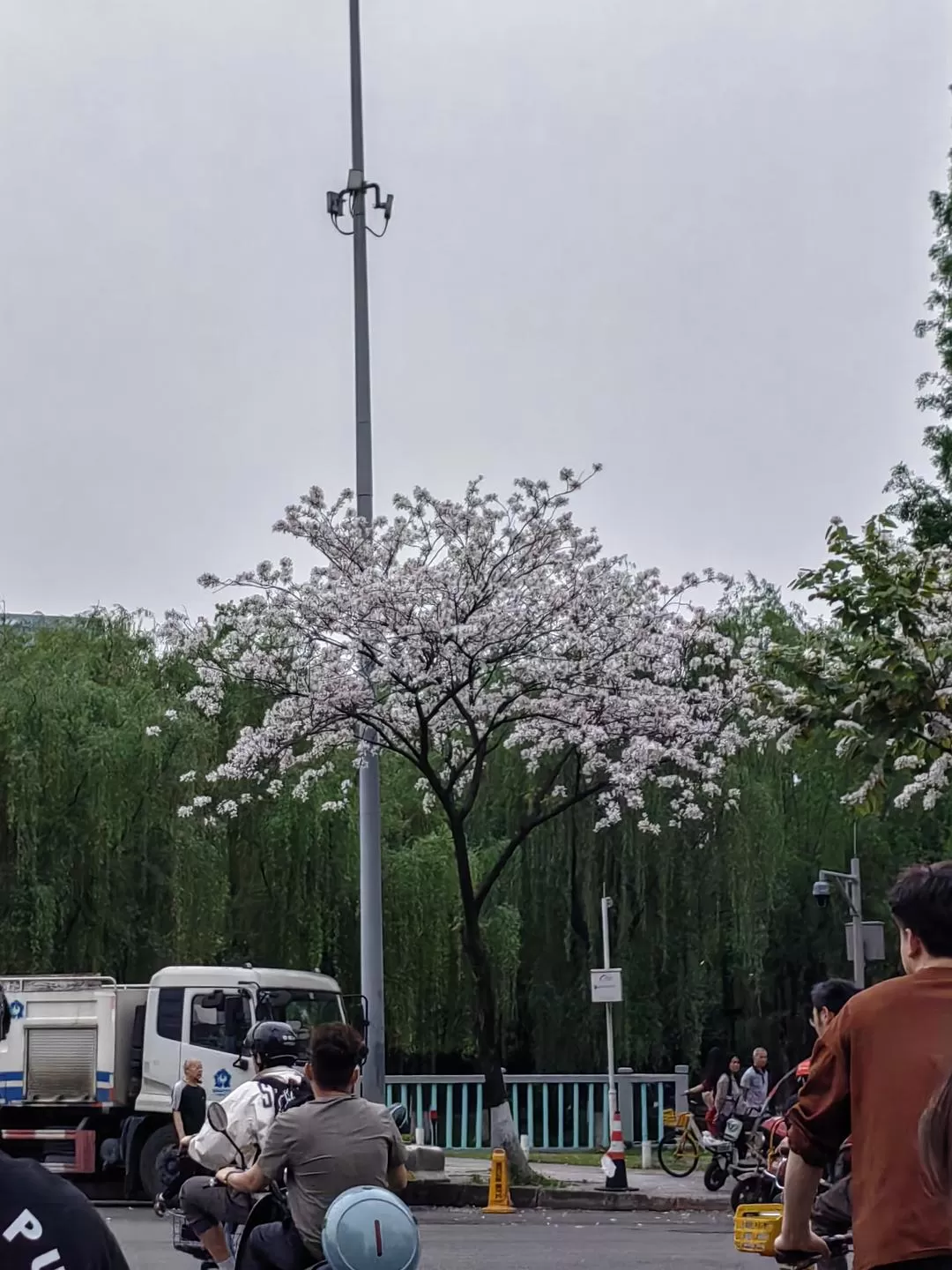 旅游推荐2024🏆年终旅行回顾，去了川西北海银川中卫贵阳扎尕那，满足于旅行带来的小美好