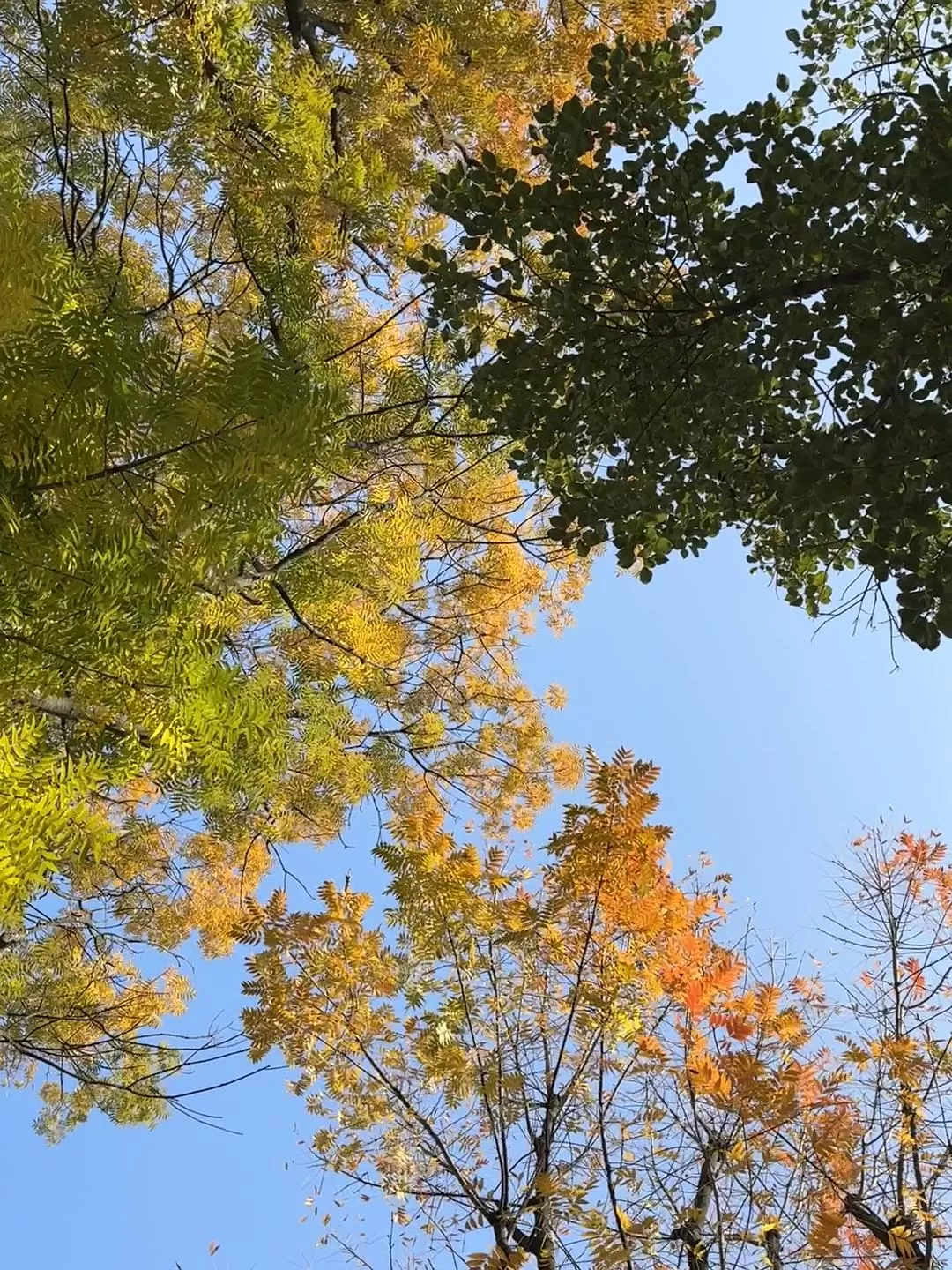 旅游推荐2024🏆年终旅行回顾，去了川西北海银川中卫贵阳扎尕那，满足于旅行带来的小美好