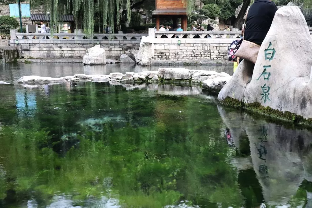 旅游💖推荐两人游：济南泉水清，可以濯我缨